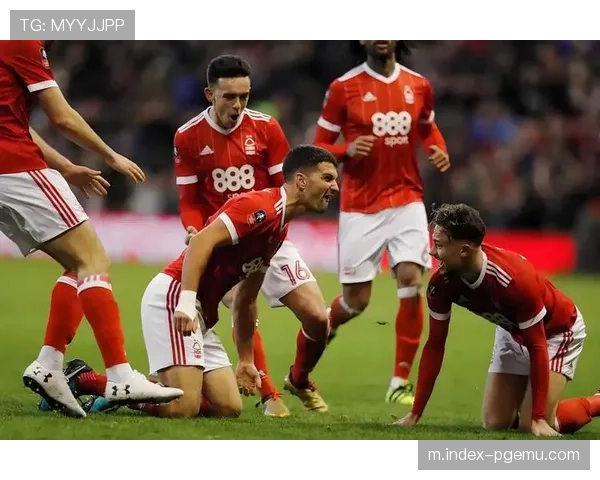 诺丁汉森林西汉姆同积28分，保级生死战进入最后冲刺